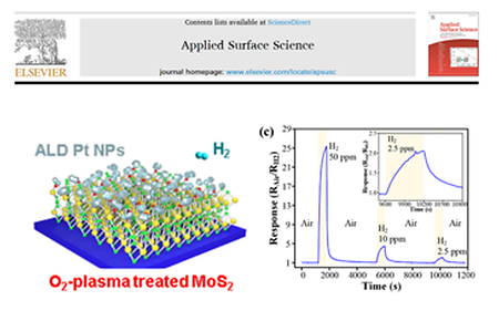 Development of highly sensitive H2 sensor based on functionalized nanomaterials (2021.09.20)