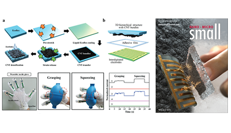 Development of highly sensitive flexible tactile sensor based on carbon nanotubes (2021. 11. 16)